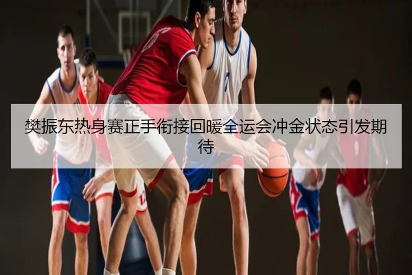 樊振东热身赛正手衔接回暖全运会冲金状态引发期待