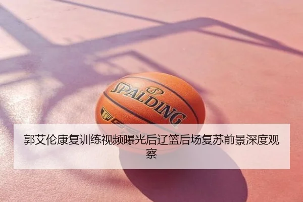 郭艾伦康复训练视频曝光后辽篮后场复苏前景深度观察